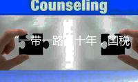 “一带一路”十年，国税总局局长谈如何共同优化税收营商环境