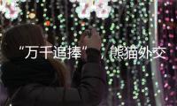 “万千追捧”�，熊猫外交背后