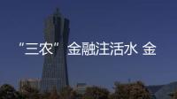 快排公司十年历程，霸屏兔 seo 的崛起与坚守