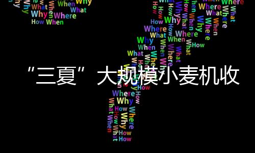 大规点夏种和夏管机械化作业
