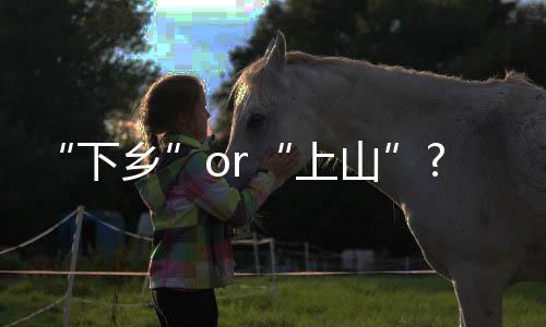 现在也以省会消费集团为中心