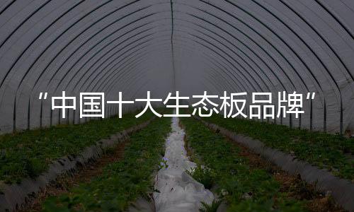 态板兔宝形成优质芯板
