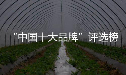 不仅仅有柴米油盐酱醋茶