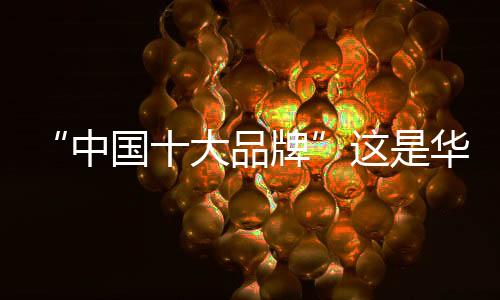平安的牌华智能厨电产品