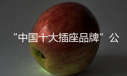 牌公品公牛IPO之路指日可待