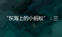 “东海上的小蚂蚁”：三个“她”讲述海岛巾帼力量