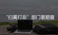 “扫黄打非”部门暑期查缴少儿类非法出版物52.3万件