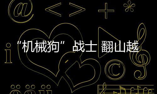 另一只搭载95式自动步枪