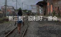 “新三板”迎利好，谁会是涂料领域蹦出的下一匹“黑马”?