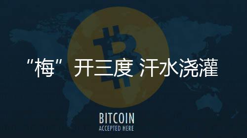 1500米等中长项目进步明显