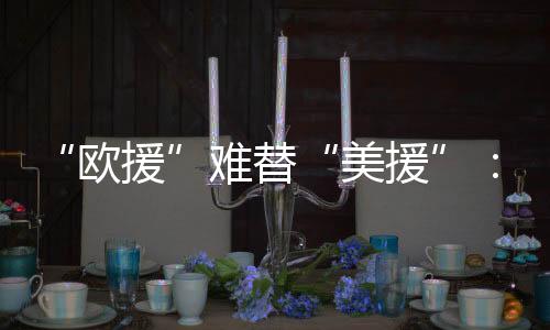 泽连斯基飞行近万公里