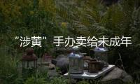 “涉黄”手办卖给未成年人

：应对玩具分级管理丨快评