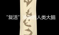 “复活”冷冻的人类大脑丨科创要闻