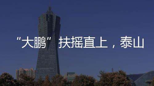他目前的教练工作很繁重