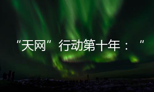 行动2019年追回外逃人员2041人