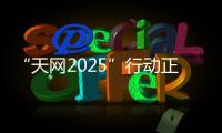 “天网2025”行动正式启动，具体有哪些部署？