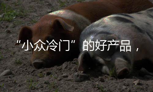 小众冷门能够和基层形成一体