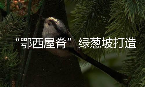 坡打风车走廊等旅游项目