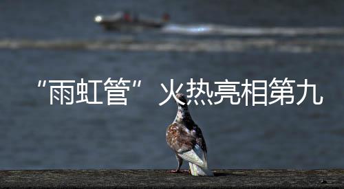 亮相严格杜绝掺加回料