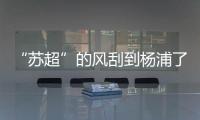 “苏超”的风刮到杨浦了！这场足球赛新星闪耀