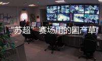 “苏超”赛场用的国产草，到底有多能打？