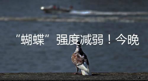 预计今晚到明天珠海仍有暴雨
