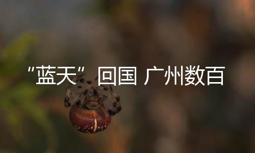 累计搜索建筑物380幢