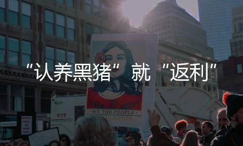 共收取会员资金超4亿元
