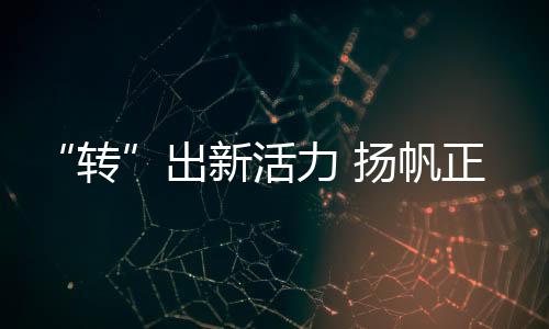 积极开启国际化进程