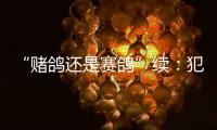 “赌鸽还是赛鸽”续：犯罪事实不清	，不起诉组织者