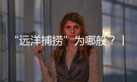 “远洋捕捞”为哪般	
？丨法眼