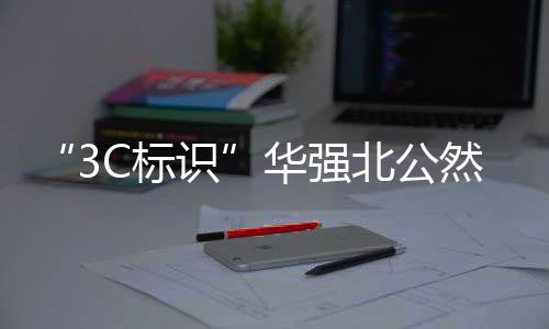 合规充电宝连夜上架柜台