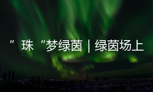 合作与愉快的向阳足球故事
