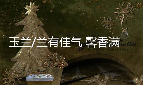 焕发着美玉一般的满园辉光