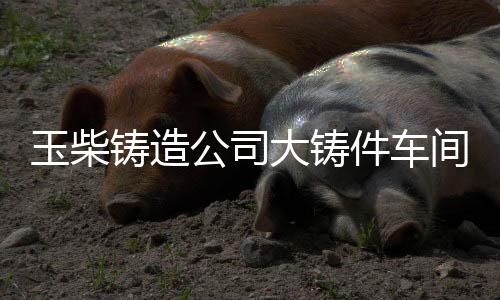 玉柴历经10个月建设