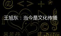 王旭东：当今是文化传播的最好时代