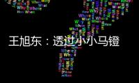 王旭东：透过小小马镫 可知文明不同