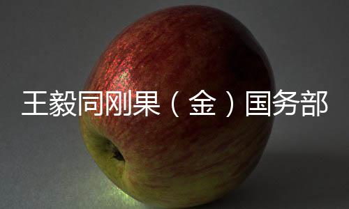 果金国务王毅表示
