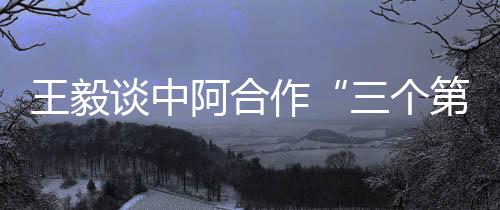 谈中中阿贸易额近2400亿美元