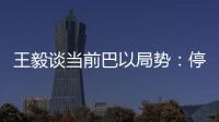 王毅谈当前巴以局势	：停火止暴是当务之急