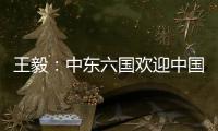 王毅�：中东六国欢迎中国在中东事务发挥更大作用