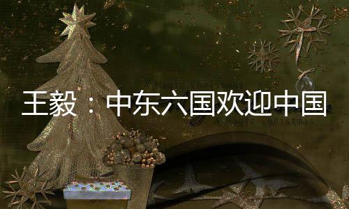 国欢国中不搞地缘争夺