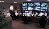 王毅：中非共举多边旗帜，发出正义之声