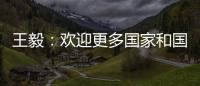 王毅：欢迎更多国家和国际组织加入“支持非洲发展伙伴倡议”