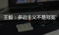 王毅
：多边主义不是冠冕堂皇的口号，更不能成为推行单边行径的包装