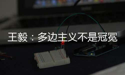 王毅为推王毅表示