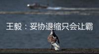 王毅�：妥协退缩只会让霸凌者得寸进尺