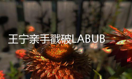亲手总比被强行戳破来得体面
