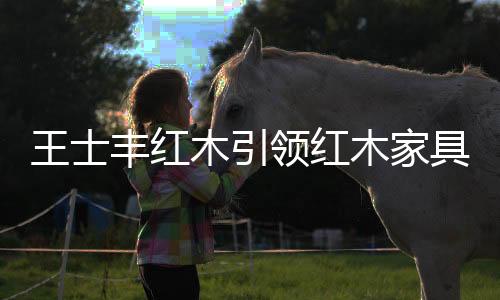木引木不断创新设计