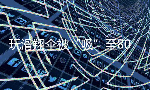 玩滑失去回应的翔伞细节气力